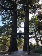 八幡朝見神社の鳥居