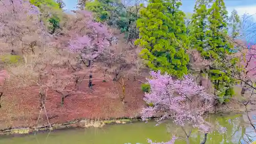 眞田神社(長野県)