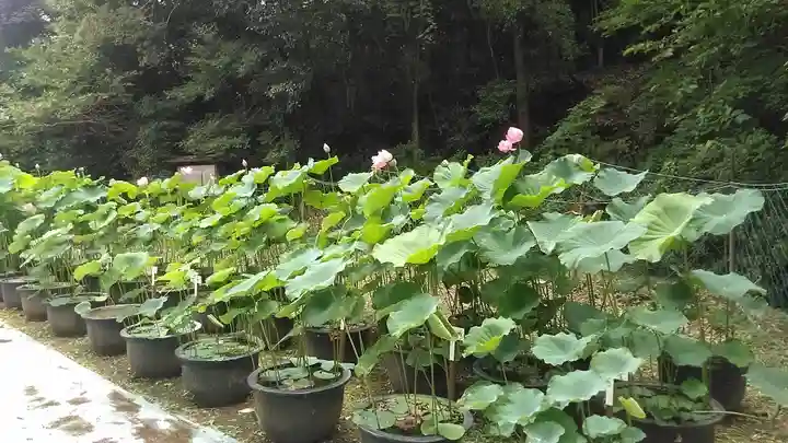 如法寺(福岡県)