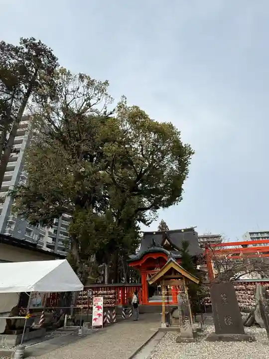 榴岡天満宮の{uncategorized: "未分類", other: "その他", undefined: "問題あり", building: "その他建物", grave: "お墓", sacred_gate: "鳥居", guardian: "狛犬", statue: "像", buddha: "仏像", history: "歴史", nature: "自然", garden: "庭園", animal: "動物", pagoda: "塔", temizu: "手水舎", mountain_gate: "山門・神門", sanctuary: "本殿・本堂", subordinate: "末社・摂社", art: "芸術", scenery: "景色", jizo: "地蔵", ema: "絵馬", goshuin: "御朱印", omikuji: "おみくじ", items: "授与品その他", amulet: "お守り", goshuincho: "御朱印帳", eats: "食事", festival: "お祭り", votive_dance: "神楽", shichigosan: "七五三参", wedding: "結婚式", experience: "体験その他", initially: "初詣", around: "周辺", anti_infection: "感染症対策"}