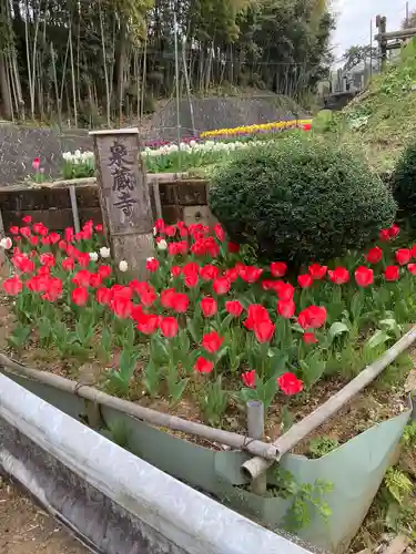 泉蔵寺の庭園