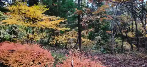 高野山観音堂の周辺