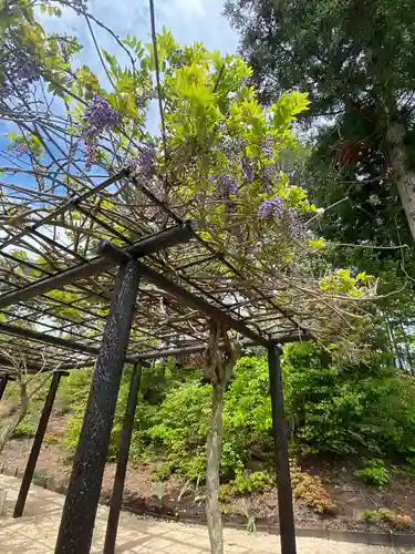 大成龍神社の自然