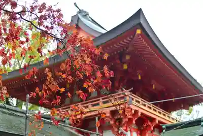 武蔵一宮氷川神社(埼玉県)