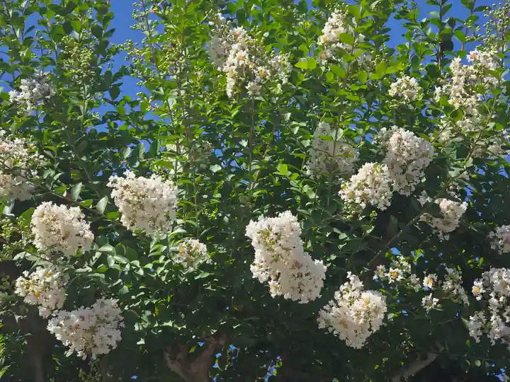 実成院(京都府)