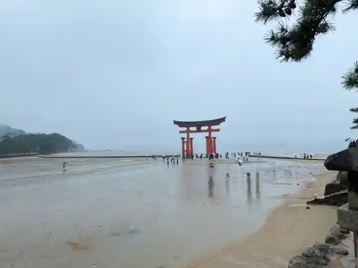 厳島神社の{uncategorized: "未分類", other: "その他", undefined: "問題あり", building: "その他建物", grave: "お墓", sacred_gate: "鳥居", guardian: "狛犬", statue: "像", buddha: "仏像", history: "歴史", nature: "自然", garden: "庭園", animal: "動物", pagoda: "塔", temizu: "手水舎", mountain_gate: "山門・神門", sanctuary: "本殿・本堂", subordinate: "末社・摂社", art: "芸術", scenery: "景色", jizo: "地蔵", ema: "絵馬", goshuin: "御朱印", omikuji: "おみくじ", items: "授与品その他", amulet: "お守り", goshuincho: "御朱印帳", eats: "食事", festival: "お祭り", votive_dance: "神楽", shichigosan: "七五三参", wedding: "結婚式", experience: "体験その他", initially: "初詣", around: "周辺", anti_infection: "感染症対策"}