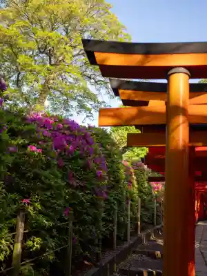 乙女稲荷神社の{uncategorized: "未分類", other: "その他", undefined: "問題あり", building: "その他建物", grave: "お墓", sacred_gate: "鳥居", guardian: "狛犬", statue: "像", buddha: "仏像", history: "歴史", nature: "自然", garden: "庭園", animal: "動物", pagoda: "塔", temizu: "手水舎", mountain_gate: "山門・神門", sanctuary: "本殿・本堂", subordinate: "末社・摂社", art: "芸術", scenery: "景色", jizo: "地蔵", ema: "絵馬", goshuin: "御朱印", omikuji: "おみくじ", items: "授与品その他", amulet: "お守り", goshuincho: "御朱印帳", eats: "食事", festival: "お祭り", votive_dance: "神楽", shichigosan: "七五三参", wedding: "結婚式", experience: "体験その他", initially: "初詣", around: "周辺", anti_infection: "感染症対策"}
