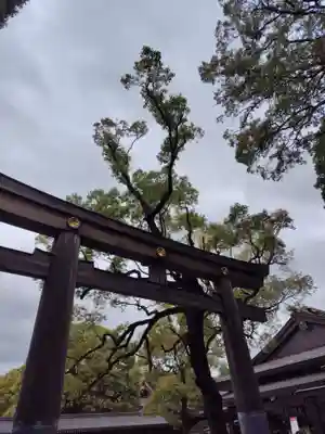 明治神宮(東京都)