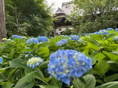 雲昌寺(秋田県)