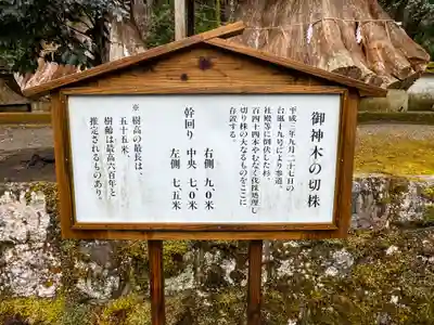 宇奈岐日女神社(大分県)