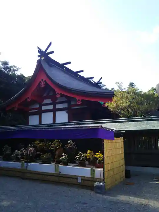 宗像大社の本殿・本堂