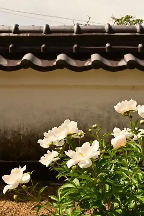 箸蔵寺(徳島県)