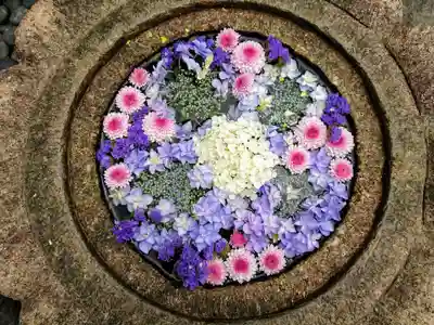 埼玉厄除け開運大師・龍泉寺（切り絵御朱印発祥の寺）のその他建物