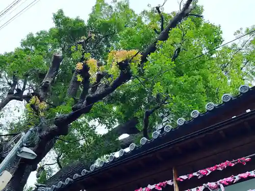 阿保神社(大阪府)