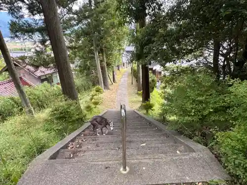 山乃神神社(福井県)