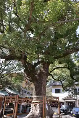 住吉神社(長崎県)