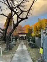 神明社(西島)の鳥居