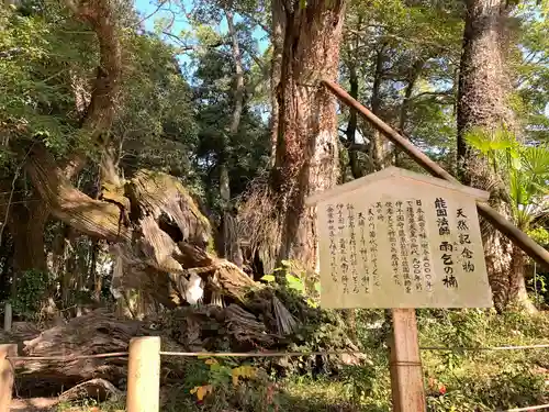 大山祇神社(愛媛県)