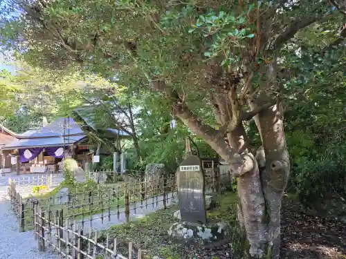 𠮷水神社（吉水神社）(奈良県)
