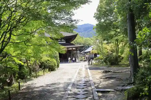 法界寺(日野薬師)(京都府)