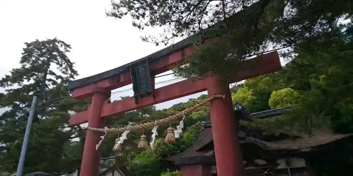 白鬚神社(滋賀県)