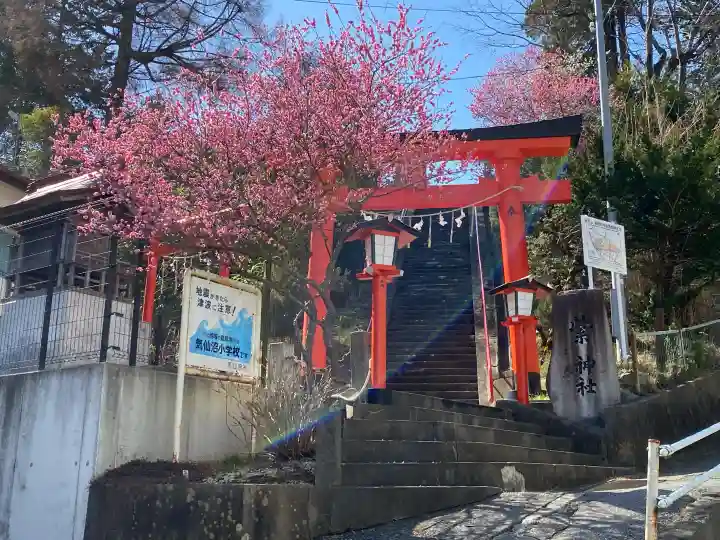 紫神社の{uncategorized: "未分類", other: "その他", undefined: "問題あり", building: "その他建物", grave: "お墓", sacred_gate: "鳥居", guardian: "狛犬", statue: "像", buddha: "仏像", history: "歴史", nature: "自然", garden: "庭園", animal: "動物", pagoda: "塔", temizu: "手水舎", mountain_gate: "山門・神門", sanctuary: "本殿・本堂", subordinate: "末社・摂社", art: "芸術", scenery: "景色", jizo: "地蔵", ema: "絵馬", goshuin: "御朱印", omikuji: "おみくじ", items: "授与品その他", amulet: "お守り", goshuincho: "御朱印帳", eats: "食事", festival: "お祭り", votive_dance: "神楽", shichigosan: "七五三参", wedding: "結婚式", experience: "体験その他", initially: "初詣", around: "周辺", anti_infection: "感染症対策"}