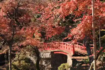 喜多院(埼玉県)