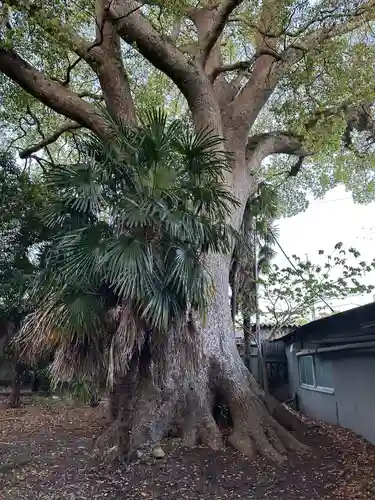 池田神社のその他建物