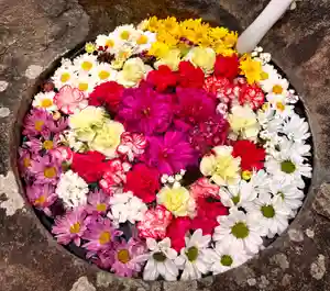 真言宗 善通寺派 薬王寺(香川県)(2025年05月11日(日) 12時38分45秒投稿)