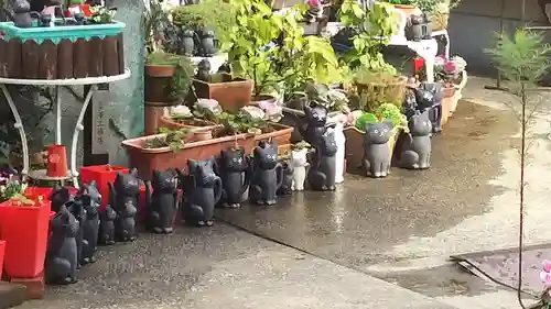 今戸神社の狛犬