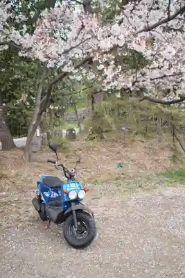 岩殿山安楽寺（吉見観音）(埼玉県)