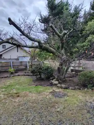 萬福寺(万福寺)(静岡県)