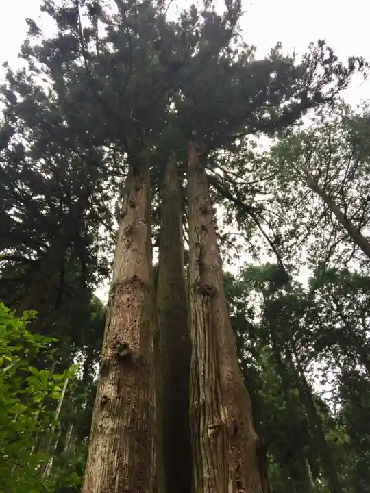御岩神社の自然