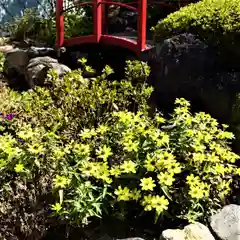 大鏑神社の自然