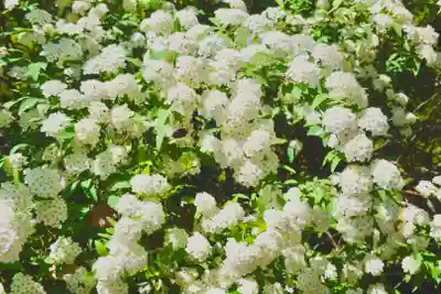 海龍王寺(奈良県)