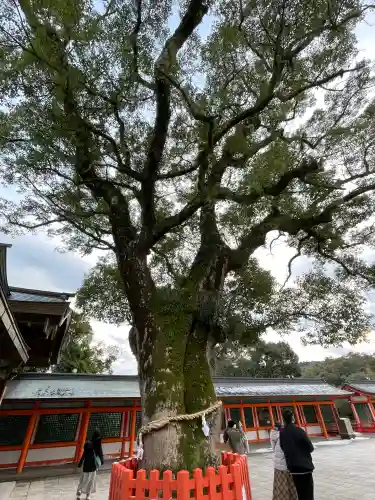 宇佐神宮の{uncategorized: "未分類", other: "その他", undefined: "問題あり", building: "その他建物", grave: "お墓", sacred_gate: "鳥居", guardian: "狛犬", statue: "像", buddha: "仏像", history: "歴史", nature: "自然", garden: "庭園", animal: "動物", pagoda: "塔", temizu: "手水舎", mountain_gate: "山門・神門", sanctuary: "本殿・本堂", subordinate: "末社・摂社", art: "芸術", scenery: "景色", jizo: "地蔵", ema: "絵馬", goshuin: "御朱印", omikuji: "おみくじ", items: "授与品その他", amulet: "お守り", goshuincho: "御朱印帳", eats: "食事", festival: "お祭り", votive_dance: "神楽", shichigosan: "七五三参", wedding: "結婚式", experience: "体験その他", initially: "初詣", around: "周辺", anti_infection: "感染症対策"}