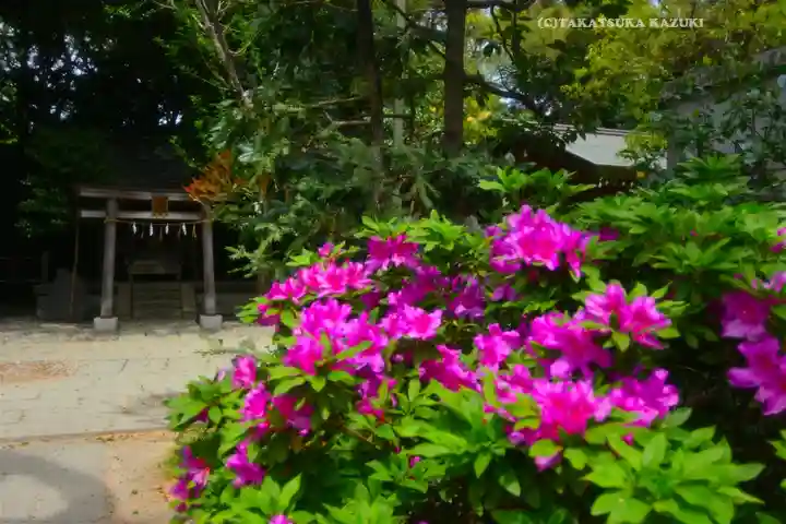 越ヶ谷久伊豆神社(埼玉県)