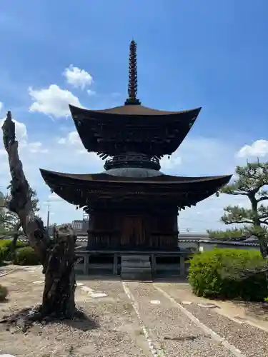 大樹寺（松安院大樹寺）(愛知県)