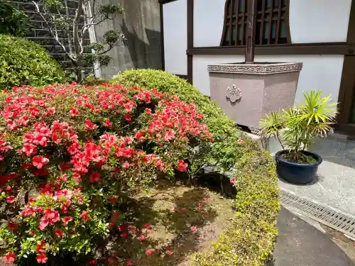 正覚寺(東京都)