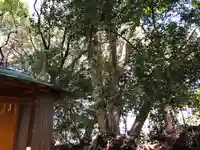 天照神社のその他建物
