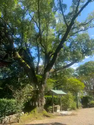 佐備神社の自然