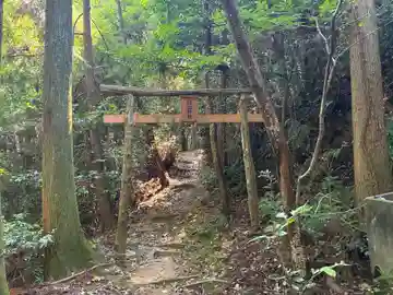日出神社(徳島県)