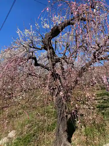 八幡社（小田原市曽我別所）(神奈川県)