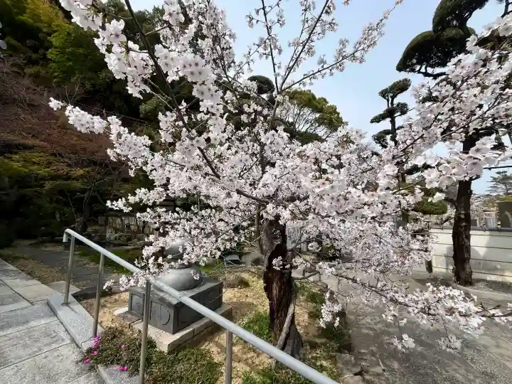 福祥寺(須磨寺)(兵庫県)