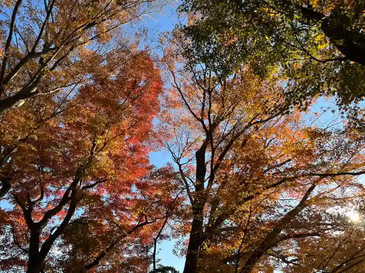 楽法寺(雨引観音)の自然