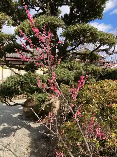 妙法寺(神奈川県)