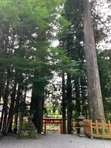 須山浅間神社の鳥居