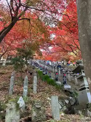 大山寺(神奈川県)