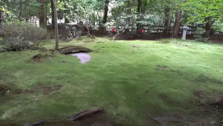 野宮神社の自然
