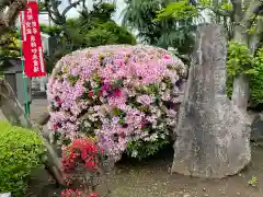 大蔵寺の自然